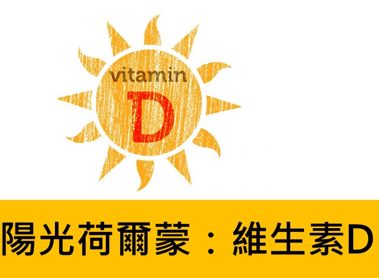 Read more about the article 健康陽光荷爾蒙：認識維生素D