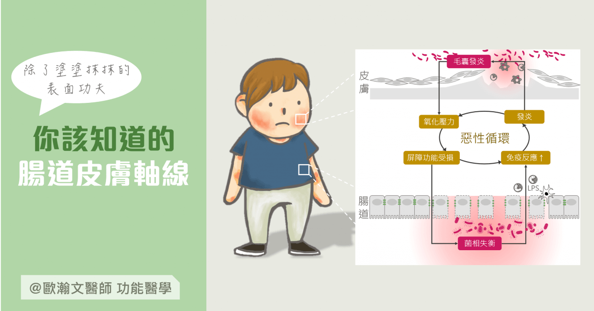 Read more about the article 除了外在保養表面功夫，你該知道的腸道皮膚軸線