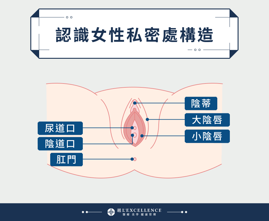 女童　小陰唇 