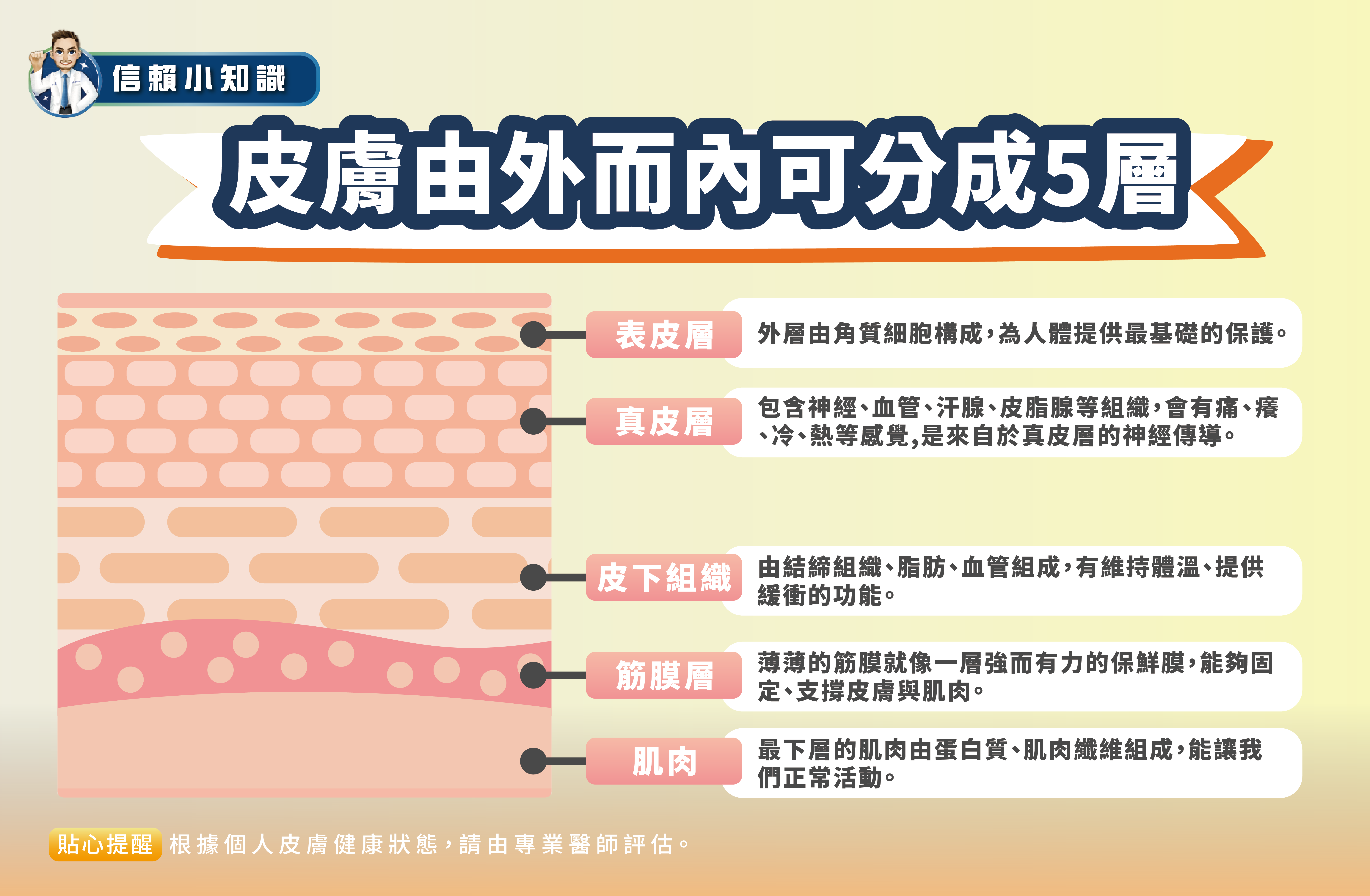 Read more about the article 《音波拉提》如何改善肌膚老化？ 想要緊緻輪廓線！先瞭解皮膚構造開始