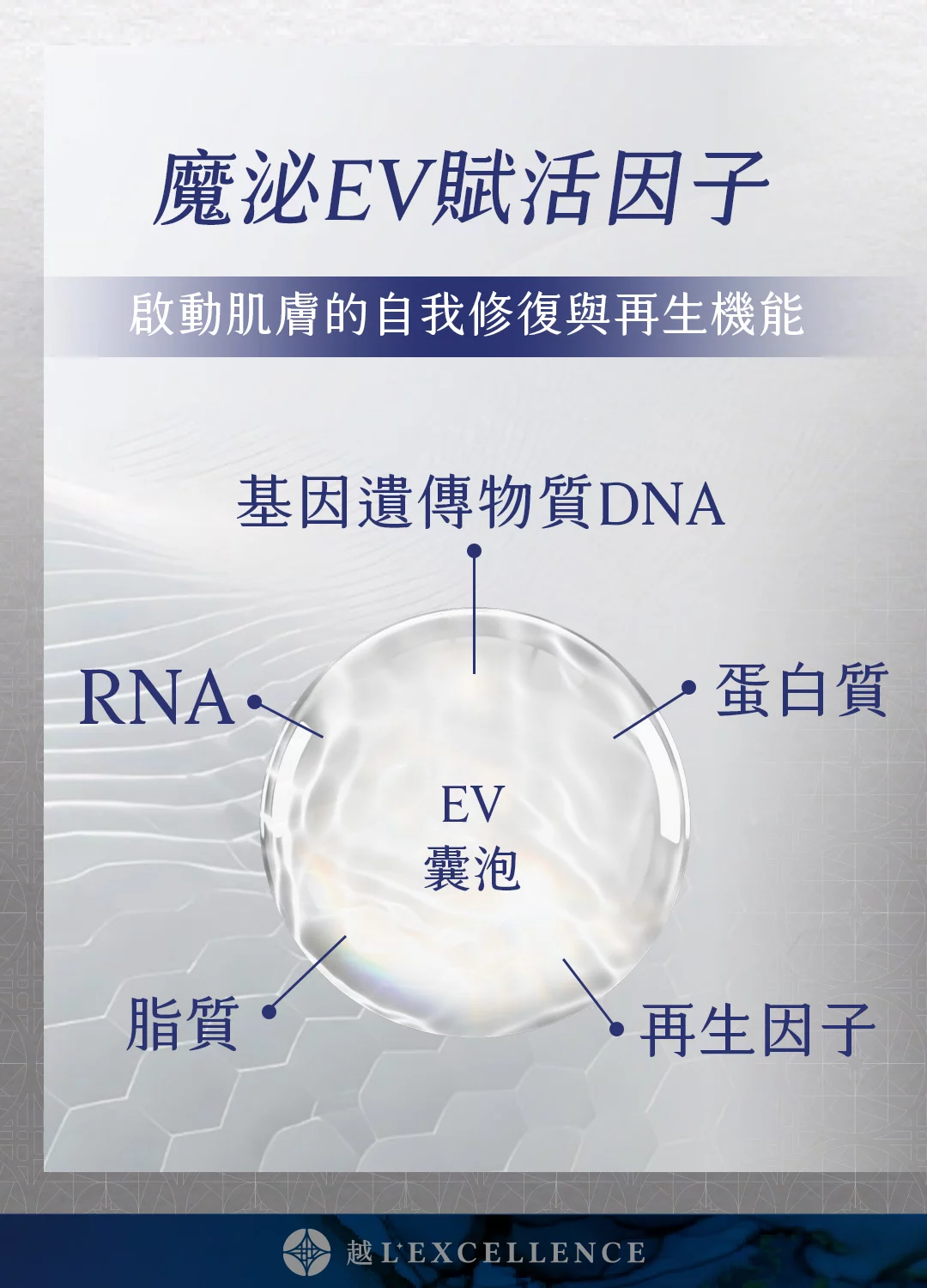 魔泌EV Exosome外泌體 肌膚 私密處 越診所 Mb02